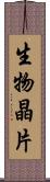 生物晶片 Scroll