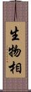 生物相 Scroll