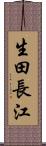 生田長江 Scroll