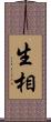 生相 Scroll