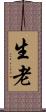 生老 Scroll