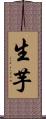 生芋 Scroll