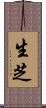 生芝 Scroll