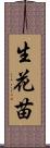 生花苗 Scroll