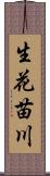 生花苗川 Scroll