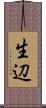 生辺 Scroll
