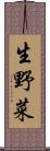 生野菜 Scroll