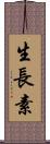 生長素 Scroll