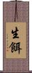 生餌 Scroll