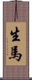 生馬 Scroll