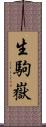 生駒嶽 Scroll