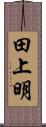 田上明 Scroll