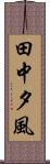 田中夕風 Scroll