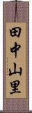 田中山里 Scroll