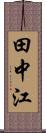 田中江 Scroll