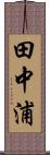 田中浦 Scroll