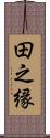 田之縁 Scroll