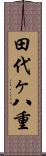 田代ヶ八重 Scroll