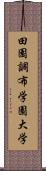 田園調布学園大学 Scroll