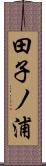 田子ノ浦 Scroll