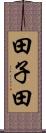 田子田 Scroll