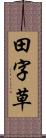 田字草 Scroll