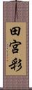 田宮彩 Scroll