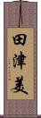 田津美 Scroll