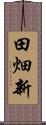 田畑新 Scroll