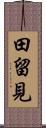 田留見 Scroll