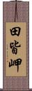 田皆岬 Scroll