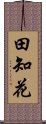 田知花 Scroll