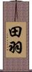 田羽 Scroll