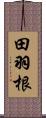 田羽根 Scroll