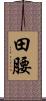 田腰 Scroll