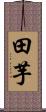 田芋 Scroll