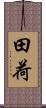 田荷 Scroll