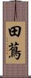 田蔦 Scroll