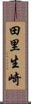 田里生崎 Scroll