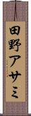 田野アサミ Scroll