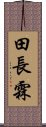 田長霖 Scroll