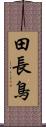 田長鳥 Scroll