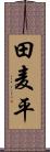 田麦平 Scroll