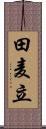 田麦立 Scroll