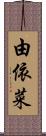 由依菜 Scroll