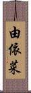 由依菜 Scroll