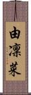 由凜菜 Scroll