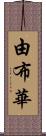 由布華 Scroll