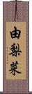 由梨菜 Scroll