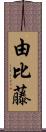 由比藤 Scroll